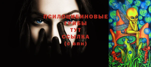 apvp Балахна