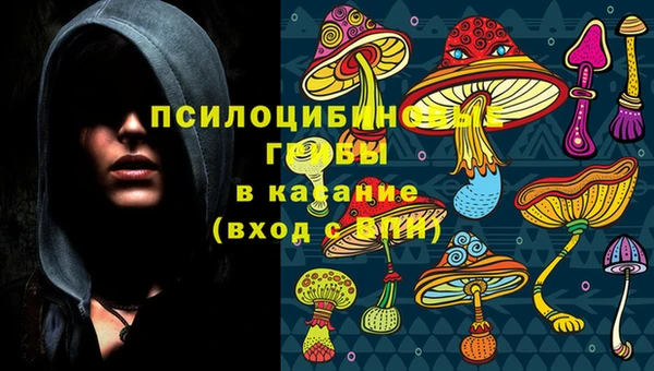 ПСИЛОЦИБИНОВЫЕ ГРИБЫ Баксан
