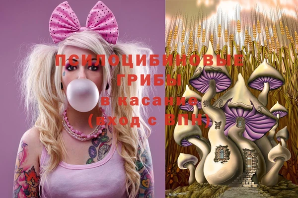 apvp Балахна