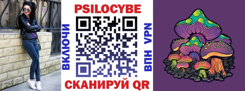 гидра ONION  купить наркоту  Богородицк  Псилоцибиновые грибы Cubensis 