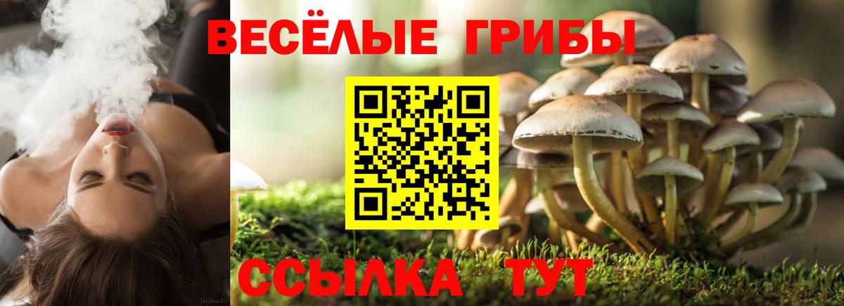 Галлюциногенные грибы Psilocybine cubensis  Псилоцибиновые грибы Cubensis  Богородицк  Вход с VPN 
