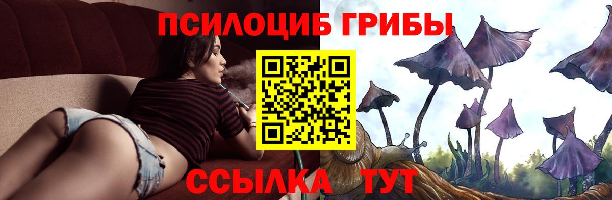 Галлюциногенные грибы ЛСД Богородицк